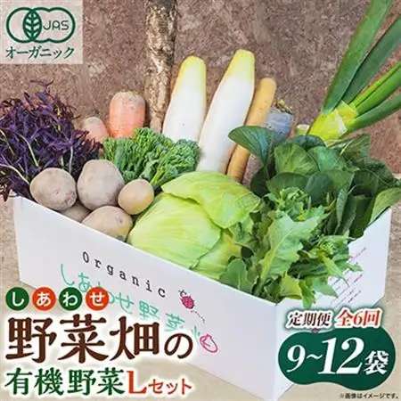【毎月定期便】しあわせ野菜畑の有機野菜　Lセット　(安心の有機JAS認証　オーガニック野菜)全6回【配送不可地域：離島・北海道・沖縄県・四国・九州】【4066010】