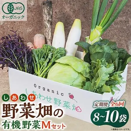 【毎月定期便】しあわせ野菜畑の有機野菜　Mセット　(安心の有機JAS認証　オーガニック野菜)全6回【配送不可地域：離島・北海道・沖縄県・四国・九州】【4066007】