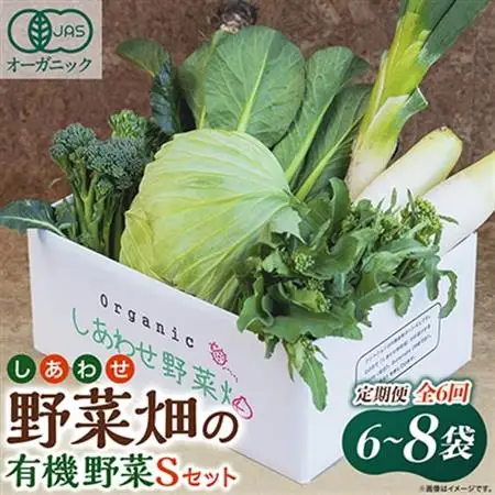 【毎月定期便】しあわせ野菜畑の有機野菜　Sセット　(安心の有機JAS認証　オーガニック野菜)全6回【配送不可地域：離島・北海道・沖縄県・四国・九州】【4066004】