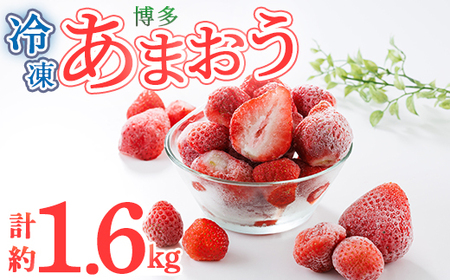 冷凍 博多あまおう (計約1.6kg) いちご イチゴ 苺 あまおう 冷凍いちご 冷凍イチゴ 国産 福岡県 果物 フルーツ アイス シャーベット ジャム スムージー 冷凍フルーツ ＜離島配送不可＞ 【ksg1744】【農産物直売所ほたるの里】