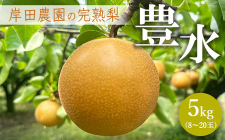 【先行予約】岸田農園の完熟梨 豊水【5kg,8-20玉入り】 | 梨 なし 果物 フルーツ 完熟 ジューシー 秋 旬 産地直送 期間限定 季節限定 季節商品 送料無料 国産 栃木県 芳賀町 ※2026年9月上旬～9月中旬頃に順次発送予定