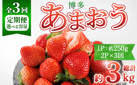 ＜全3回定期便・先行予約受付中！2027年2月上旬以降順次発送予定＞ 博多あまおう (総計約3kg) いちご 苺 フルーツ 果物 くだもの 福岡限定 家庭用 冷蔵 定期便 ＜離島配送不可＞【ksg1743】【農産物直売所ほたるの里】