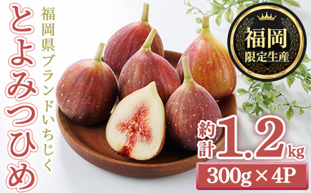 ＜先行予約受付中！2026年8月下旬～2026年10月下旬順次発送予定＞福岡県ブランドいちじく博多 とよみつひめ (計約1.2kg・300g×4P) いちじく イチジク フルーツ 果物 くだもの 福岡限定 ＜離島配送不可＞ 【ksg1750】【農産物直売所ほたるの里】