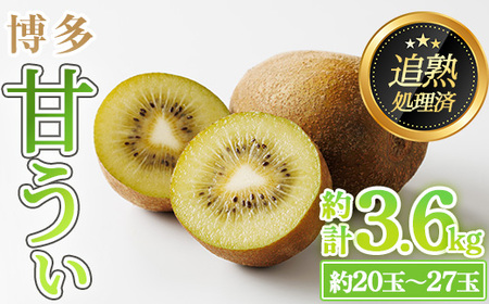 ＜先行予約受付中！2026年11月上旬～11月下旬に順次発送予定＞福岡県ブランド キウイフルーツ 博多 甘うぃ (約計3.6kg：20～27玉) キゥイ キューイ キュウイ あまうぃ フルーツ 果物 くだもの 福岡限定 ＜離島配送不可＞ 【ksg1751】【農産物直売所ほたるの里】