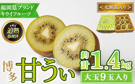 ＜先行予約受付中！2026年11月上旬～11月下旬に順次発送予定＞福岡県ブランド キウイフルーツ 博多 甘うぃ 化粧箱入り (約計1.4kg：大玉9玉) キュウイ あまうぃ フルーツ 果物 くだもの 化粧箱＜離島配送不可＞ 【ksg1752】【農産物直売所ほたるの里】