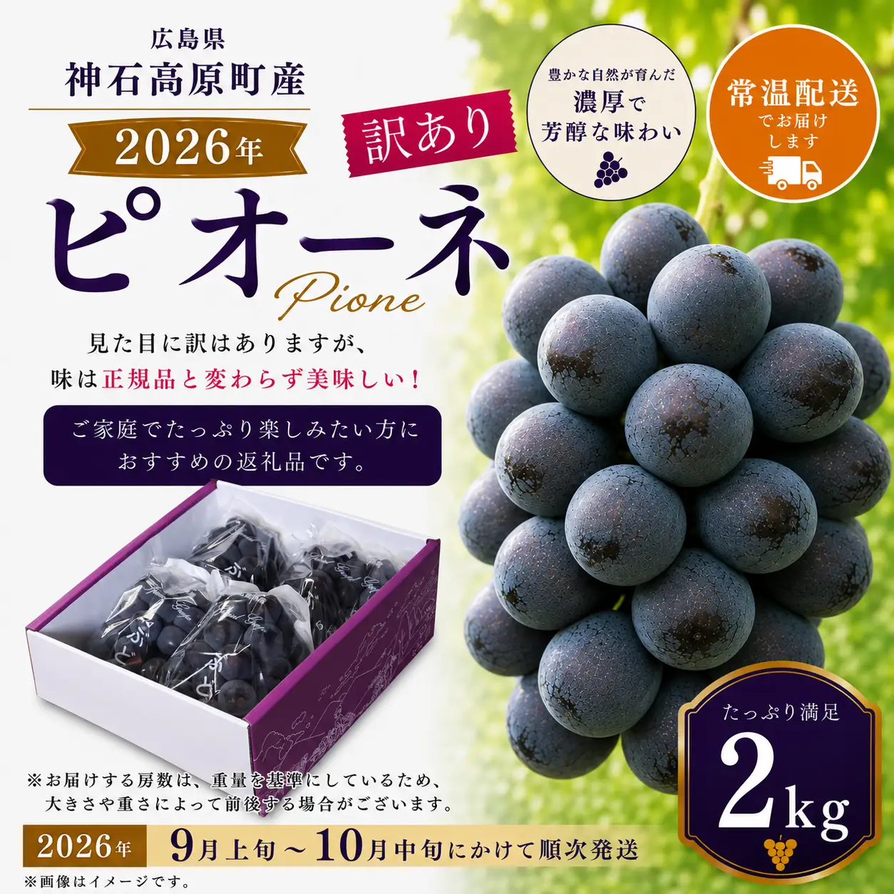 【2026年先行予約】＜訳あり＞ 家庭用ピオーネ 約2kg｜味はそのまま・ご家庭用におすすめ（常温配送）《9月上旬-10月中旬出荷予定》期間限定 フルーツ 果物 ぶどう ブドウ 神石高原町 広島県