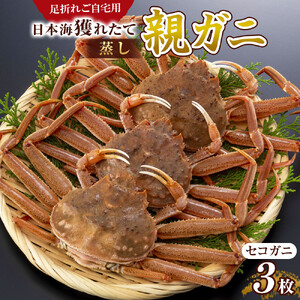 121.【活き】訳あり 足折れ ご自宅用 日本海獲れたて親ガニ（セコガニ）3枚 ※2026年11月上旬～12月下旬頃に順次発送予定