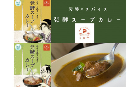 レトルト発酵スープカレー食べ比べセット【極み】 APG0001