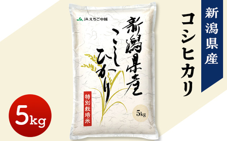 75-7N051B新潟県長岡産コシヒカリ5kg（特別栽培米）【2026年5月発送】