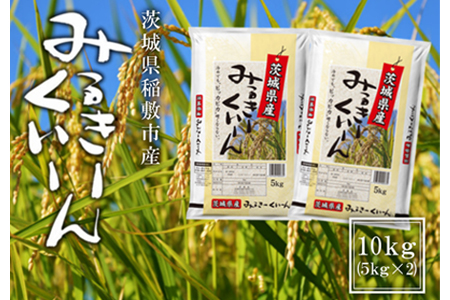 【令和7年産】稲敷市産 ミルキークイーン 10kg (5kg×2袋) [2001]