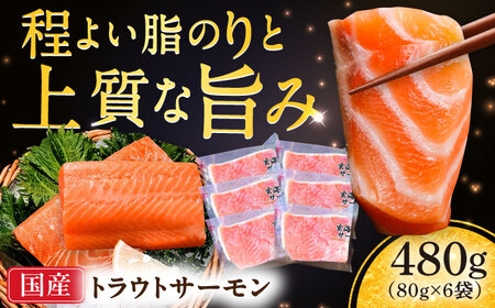 玄海サーモン柵80g×6袋 / 佐賀県 / 株式会社九州特産品販売 [41AECT008]