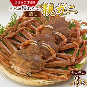 124.【蒸し】訳あり 足折れ ご自宅用 日本海獲れたて親ガニ（セコガニ）３枚 ※2026年11月上旬～12月下旬頃に順次発送予定