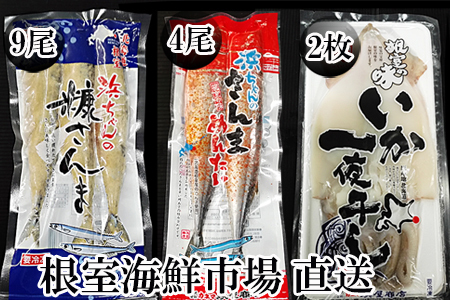 【北海道根室産】根室海鮮市場＜直送＞いか一夜干し2枚・さんま明太4尾・糠さんま9尾 A-28260