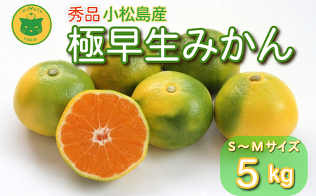 【2026年10月発送】 極早生みかん 秀品 5kg 温州 みかん