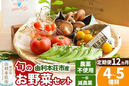 【定期便 1年分・12ヶ月】旬のお野菜セット 秋田県 由利本荘市産 栽培期間中農薬不使用 減農薬