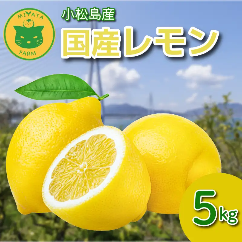 【2026年10月発送】　レモン 5kg 秀品  国産 檸檬 ワックス不使用 防腐剤不使用 