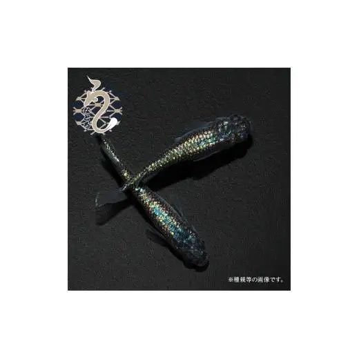 メダカ「ネプチューン」3ペア