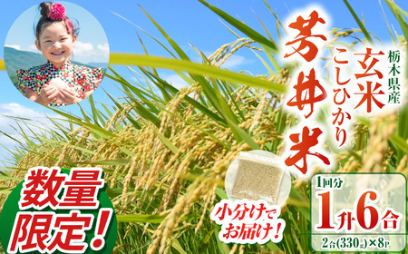 【ふるなび限定】【数量限定】【令和8年度産】那珂川町産芳井米 玄米 330g（2合分）×8 | こしひかり 米 ごはん  ふっくら もちもち  ふるさと納税 那珂川町 栃木県