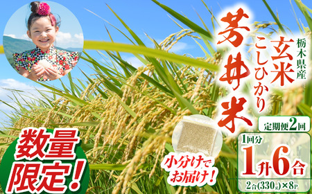 【ふるなび限定】【定期2回】【数量限定】【令和8年度産】那珂川町産芳井米 玄米 330g（2合分）×8 | こしひかり 米 ごはん  ふっくら もちもち  ふるさと納税 那珂川町 栃木県