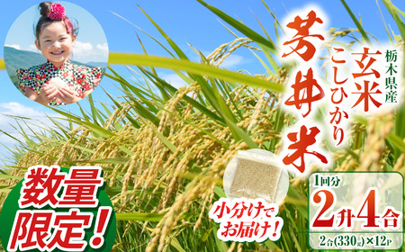 【ふるなび限定】【数量限定】【令和8年度産】那珂川町産 芳井米 玄米 330g（2合分）×12 | こしひかり 米 ごはん  ふっくら もちもち  ふるさと納税 那珂川町 栃木県