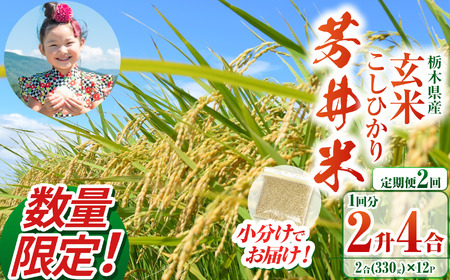 【ふるなび限定】【定期2回】【数量限定】【令和8年度産】那珂川町産芳井米 玄米 330g（2合分）×12 | こしひかり 米 ごはん  ふっくら もちもち  ふるさと納税 那珂川町 栃木県