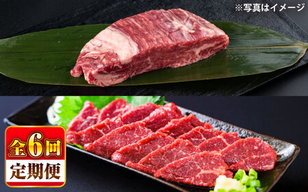 【全6回定期便】 あか牛 ステーキ用 ヒレ肉 約800g 馬刺し約200gセット 計約1kg ヒレ BHBY018