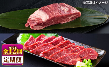 【全12回定期便】 あか牛 ステーキ用ヒレ肉(約800g)、馬刺し(約200g)セット 計約1kg ヒレ 馬刺し BHBY019