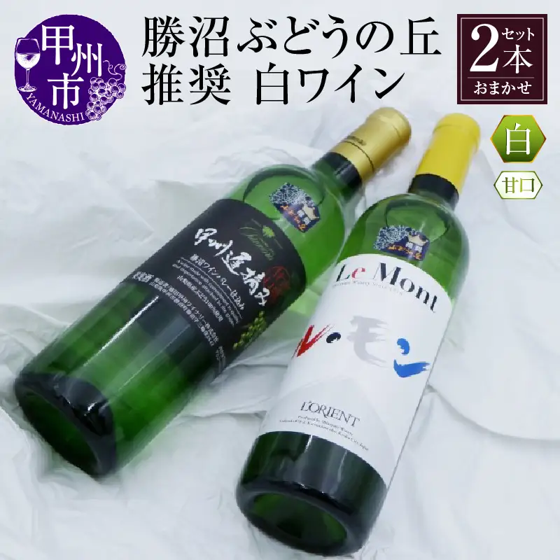 ワイン 勝沼ぶどうの丘推奨 白ワイン（甘口）2本セット（KBO）B2-621