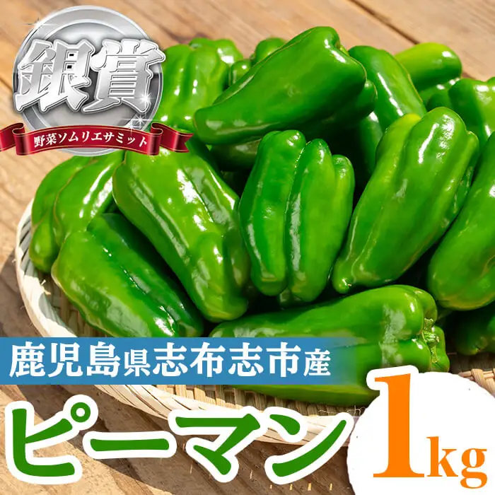 志布志産ピーマン(1kg) ピーマン 野菜 やさい ぴーまん 新鮮 常温 常温保存 おかず 詰め合わせ 銀賞 銀賞受賞 野菜ソムリエサミット p8-149
