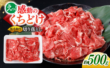 牛肉切り落とし500g [SBA094] 