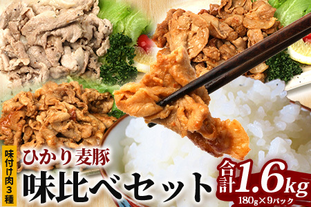 鹿児島県産 ひかり麦豚 味比べセット ≪味付け肉≫ 計1.6kg （180g×9パック）みそ 塩だれ ニンニク醤油  トレーなし 冷凍 HM-4 | 肉 お肉 にく 豚肉 味噌味 塩ダレ 解凍して焼くだけ 真空冷凍 新鮮 小分け おかず 産地直送 鹿児島県 南大隅町 ひかり麦豚直売所