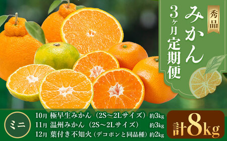 秀品 みかん 3ヶ月定期便 【ミニ：計8kg】 日本フルーツ株式会社《2026年10月上旬-12月末頃出荷》熊本県 長洲町 極早生みかん 温州みかん 葉付き 不知火 果物 フルーツ スイーツ デザート ギフト ご贈答
