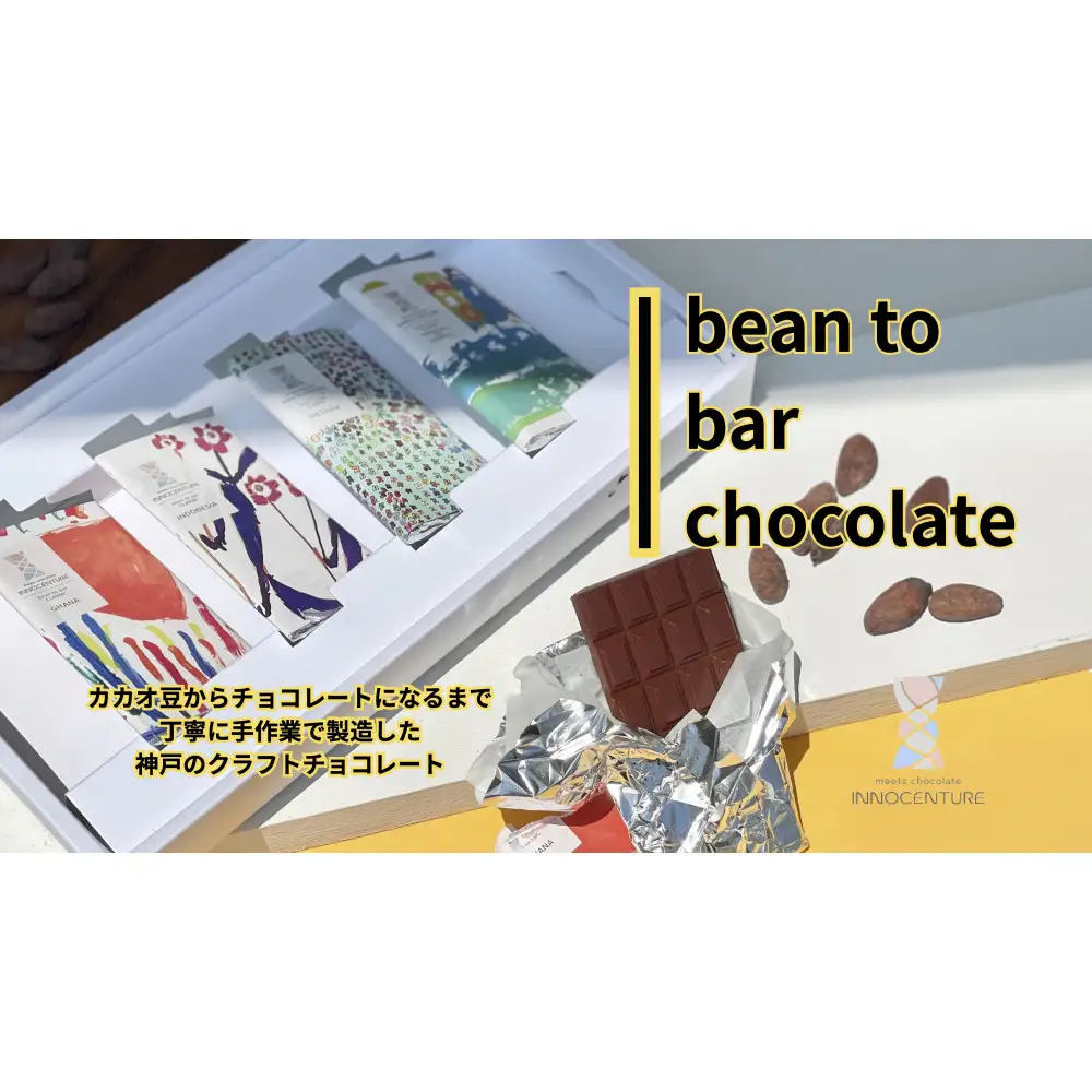 INNOCENTURE バラエティBOXクラシック 4産地チョコレート