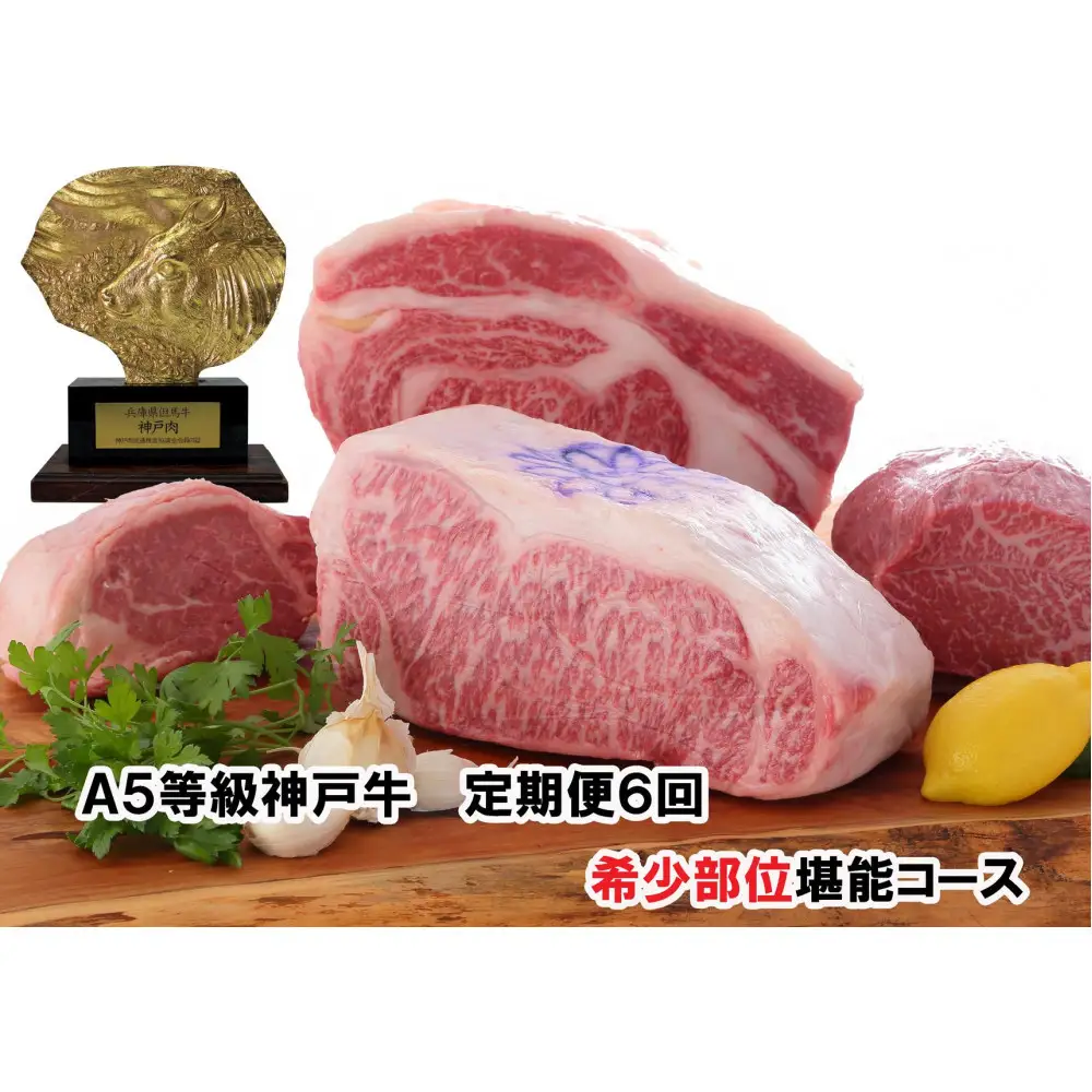 ＜定期便6回＞ A５等級神戸牛　希少部位堪能コース 【神戸ぐりる工房】ステーキ すき焼き 焼肉（隔月でお届け）