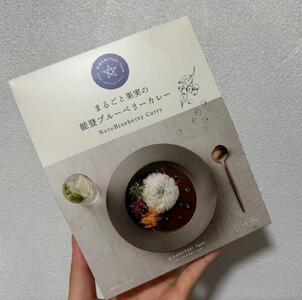 【復興支援】【奥能登プレミアム】能登町ブルーベリーカレー5個