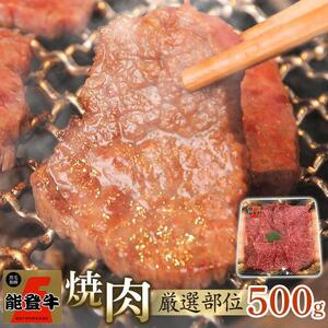 【復興支援】【A4・A5】能登牛 焼肉用厳選部位 500g
