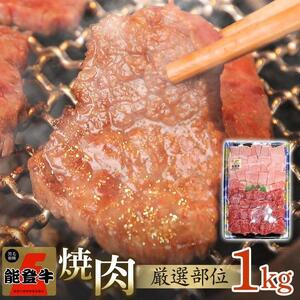 【復興支援】【A4・A5能登牛】焼肉用厳選部位 1kg