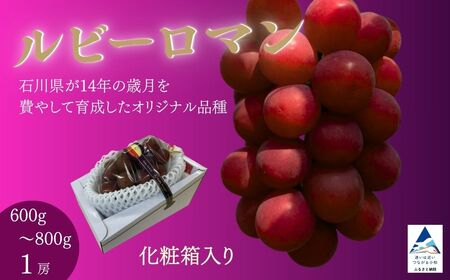 2026年 先行予約 ルビーロマン ぶどう 1房 600g～800g