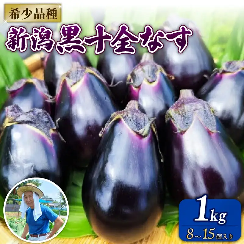 【先行予約】新潟黒十全なす 新鮮 朝採り 採りたて 1kg 令和8年産 茄子 ナス 特産品 野菜 夏野菜 つぐちゃん畑 新潟 新潟県 新発田産 新発田市 tsuguchan002_01