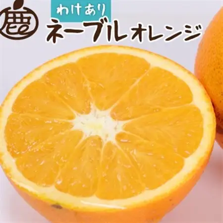 家庭用 ネーブルオレンジ2.5kg+250g(傷み補償分)【光センサー】【訳あり】【1646896】