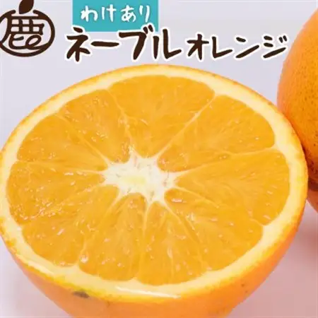 家庭用 ネーブルオレンジ10kg+250g(傷み補償分)【光センサー】【訳あり】【1646902】
