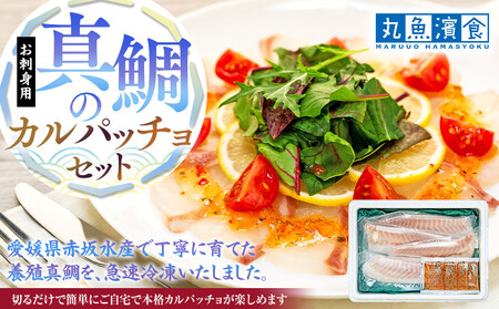 お刺身用・真鯛のカルパッチョセット AOZ0003