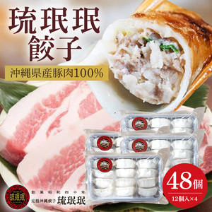 【老舗餃子屋  琉みんみん】沖縄県産豚餃子　4パック　48個入り｜餃子