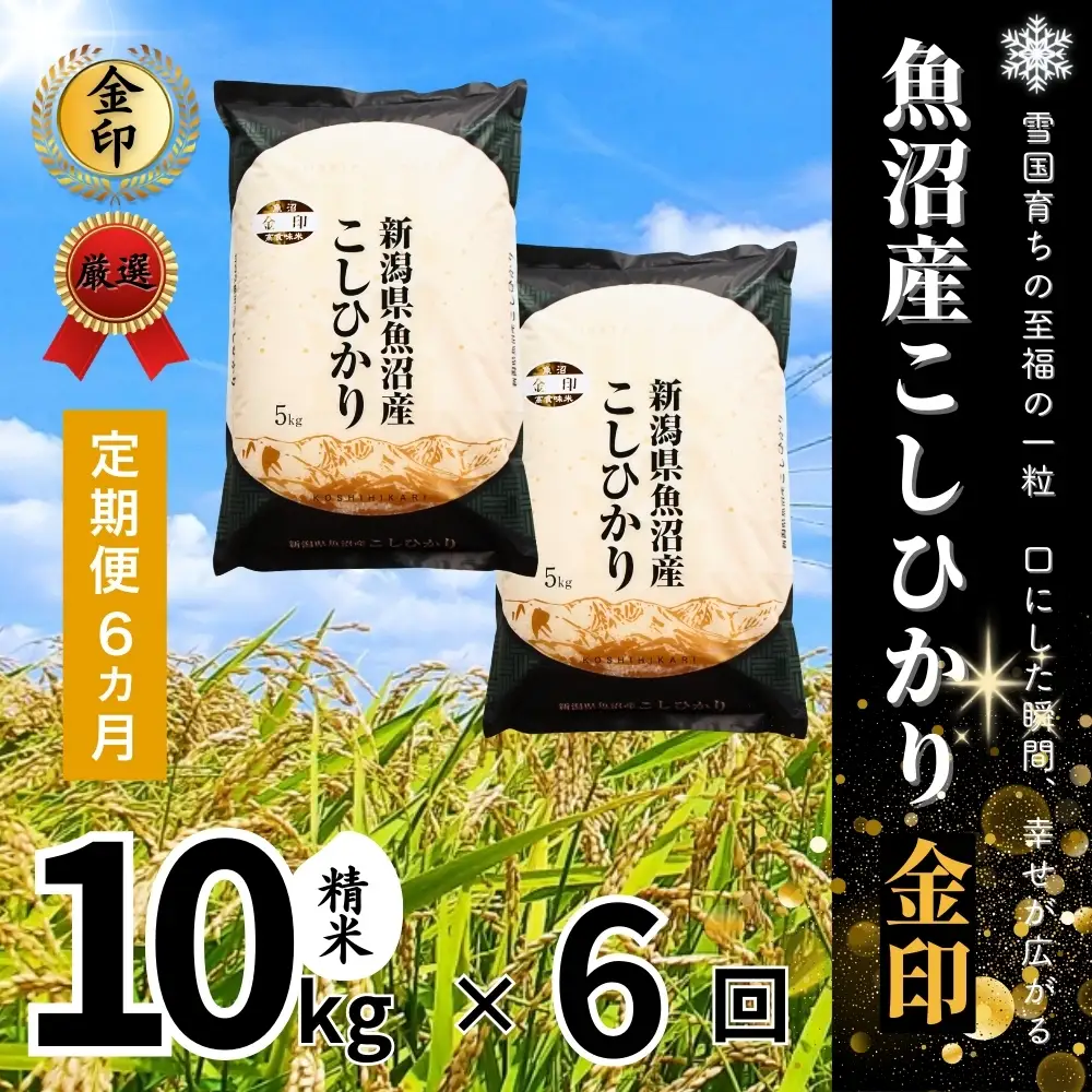 6ヶ月定期便 魚沼産コシヒカリ 金印 高食味米 10kg 有限会社イタバ |津南町 魚沼 令和7年