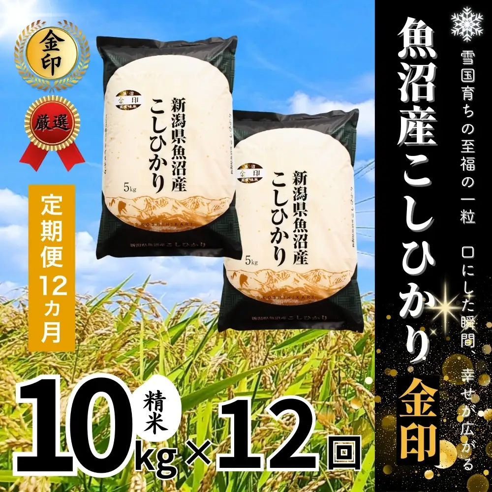 12ヶ月定期便 魚沼産コシヒカリ 金印 高食味米 10kg 有限会社イタバ |津南町 魚沼 令和7年