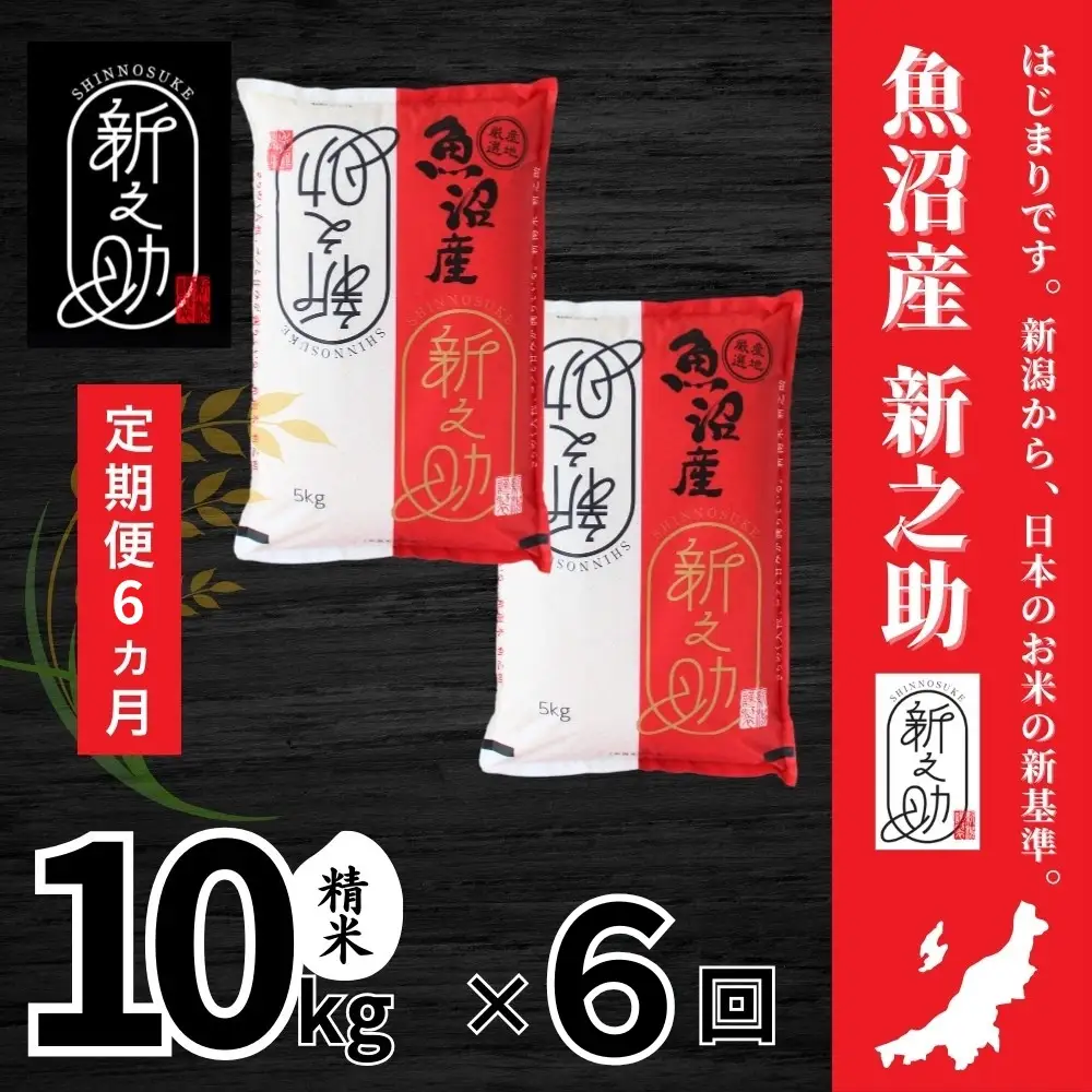 6ヶ月定期便 中魚沼産 新之助 10kg |津南町 令和7年