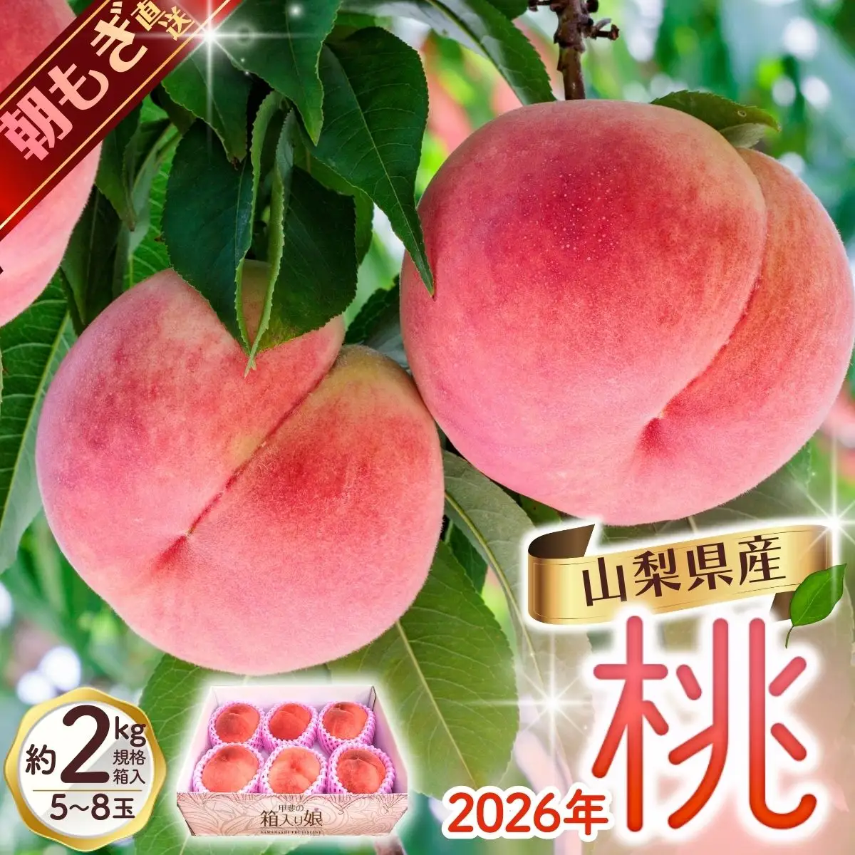 桃 山梨の桃　約2kg【tab0182】