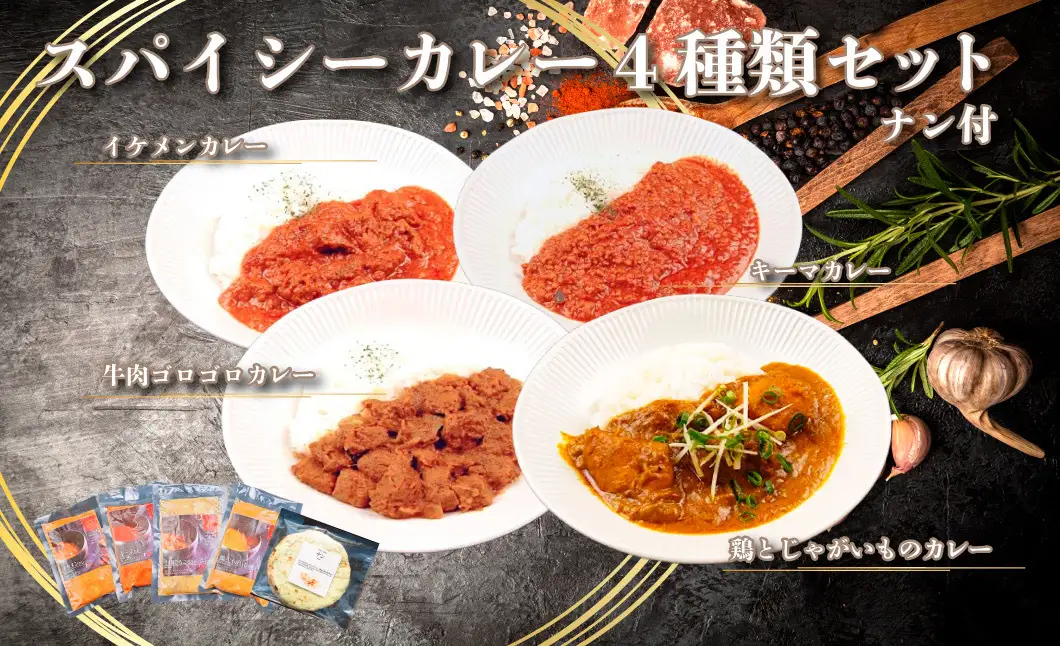 518 帝カレー　スパイシーカレー４種類セット