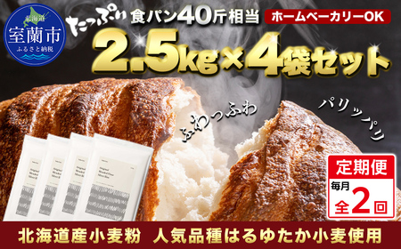 【毎月定期便】北海道産 はるゆたかブレンド小麦粉 シルバーライズ（パン用強力粉）10kg 全2回 MROBI031