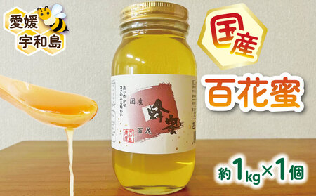 国産はちみつ 百花蜜 1kg 宇和島農産 純国産はちみつ F020-132010